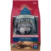 Blue Buffalo Wilderness Adult High Protein Natural Salmon & Wholesome Grains Dry Dog Food -Blue Buffalos Shop 733494 MAIN. AC SS1800 V1694547092