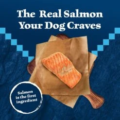 Blue Buffalo Wilderness Adult High Protein Natural Salmon & Wholesome Grains Dry Dog Food -Blue Buffalos Shop 733494 PT2. AC SS1800 V1694550753