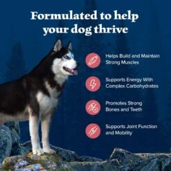 Blue Buffalo Wilderness Adult High Protein Natural Salmon & Wholesome Grains Dry Dog Food -Blue Buffalos Shop 733494 PT3. AC SS1800 V1694550811