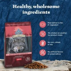 Blue Buffalo Wilderness Adult High Protein Natural Salmon & Wholesome Grains Dry Dog Food -Blue Buffalos Shop 733494 PT5. AC SS1800 V1694549003