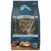 Blue Buffalo Wilderness Puppy High Protein Natural Chicken & Wholesome Grains Dry Dog Food -Blue Buffalos Shop 733510 MAIN. AC SS1800 V1694547150