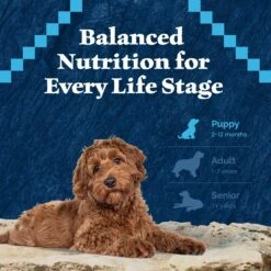 Blue Buffalo Wilderness Puppy High Protein Natural Chicken & Wholesome Grains Dry Dog Food 18 Blue Buffalo Wilderness Puppy High Protein Natural Chicken & Wholesome Grains Dry Dog Food -Blue Buffalos Shop 733510 PT7. AC SS1800 V1694550813