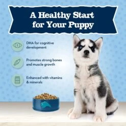 Blue Buffalo High Protein Puppy Chicken Dry Dog Food -Blue Buffalos Shop 735390 PT3. AC SS1800 V1671130392