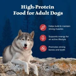 Blue Buffalo Wilderness Rocky Mountain Recipe Adult High Protein Natural Red Meat & Grain Dry Dog Food 14 Blue Buffalo Wilderness Rocky Mountain Recipe Adult High Protein Natural Red Meat & Grain Dry Dog Food -Blue Buffalos Shop 735590 PT3. AC SS1800 V1694547716