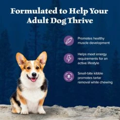 Blue Buffalo Wilderness Adult Small Bite High Protein Natural Chicken & Wholesome Grains Dry Dog Food -Blue Buffalos Shop 735670 PT3. AC SS1800 V1694548888