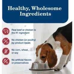 Blue Buffalo's Stew Chicken & Beef Variety Pack Wet Dog Food -Blue Buffalos Shop 735686 PT5. AC SS1800 V1674587843