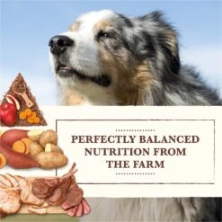Whole Earth Farms Grain-Free Pork, Beef & Lamb Recipe Dry Dog Food 13 Whole Earth Farms Grain-Free Pork, Beef & Lamb Recipe Dry Dog Food -Blue Buffalos Shop 73974 PT2. AC SS1800 V1647905492
