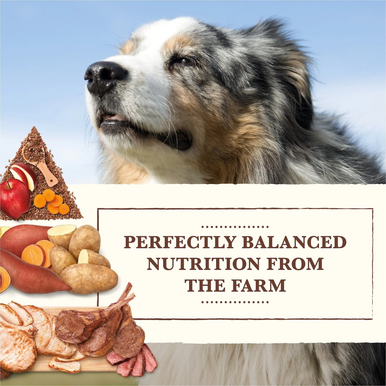 Whole Earth Farms Grain-Free Pork, Beef & Lamb Recipe Dry Dog Food 5 Whole Earth Farms Grain-Free Pork, Beef & Lamb Recipe Dry Dog Food - Image 3
