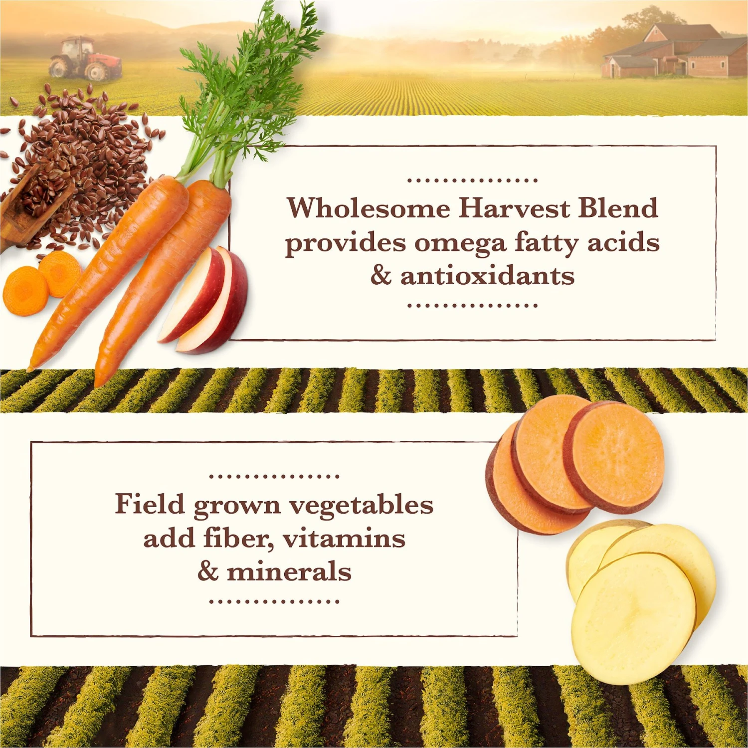 Whole Earth Farms Grain-Free Pork, Beef & Lamb Recipe Dry Dog Food 9 Whole Earth Farms Grain-Free Pork, Beef & Lamb Recipe Dry Dog Food - Image 7