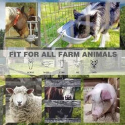 Win World Gazebo Automatic Dog & Cat Feeder, Grey, Large -Blue Buffalos Shop 740734 PT5. AC SS1800 V1671222524