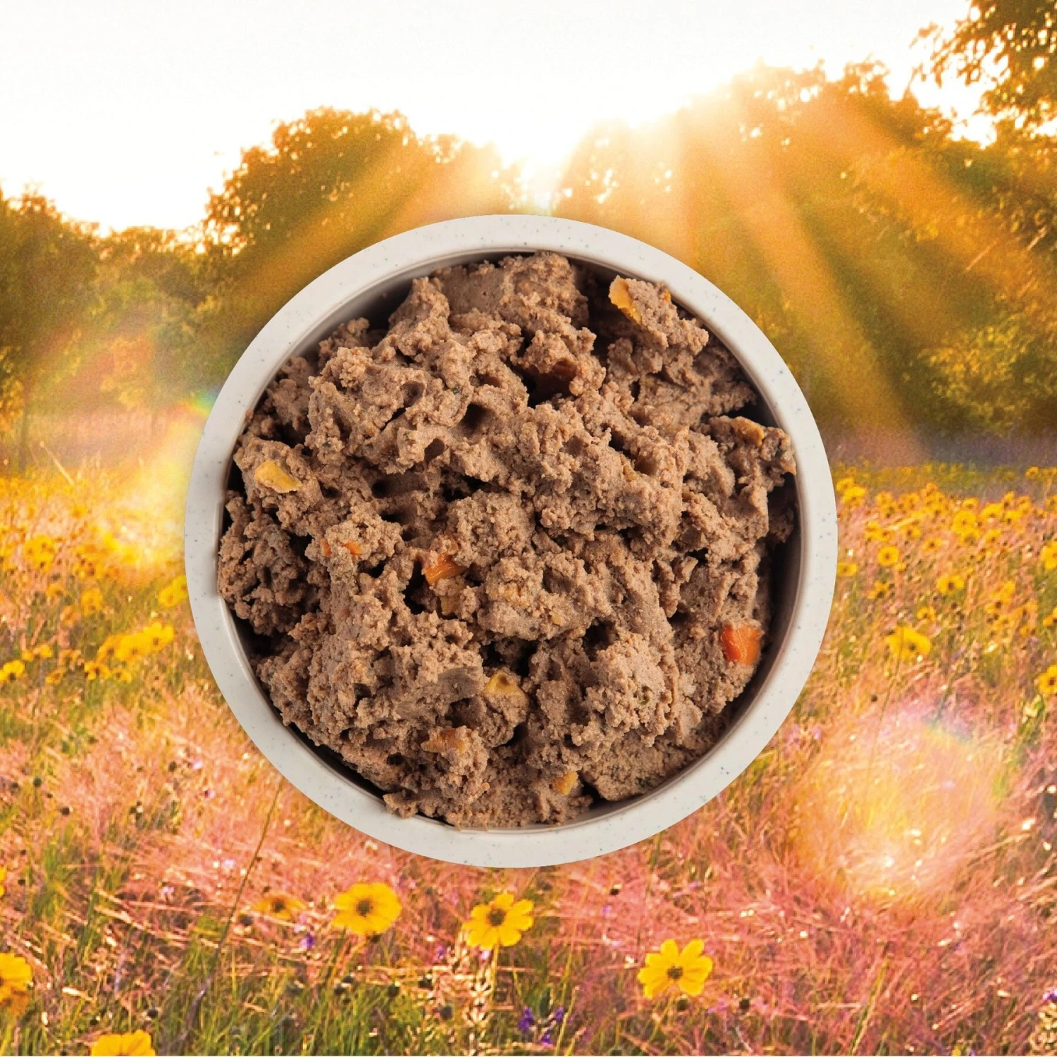 ACANA Premium Pate Puppy Recipe In Bone Broth Grain-Free Wet Dog Food 6 ACANA Premium Pate Puppy Recipe In Bone Broth Grain-Free Wet Dog Food - Image 4