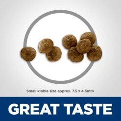 Hill's Science Diet Adult Small & Mini Lamb Meal & Rice Recipe Dry Dog Food -Blue Buffalos Shop 74229 PT2. AC SS1800 V1692734858