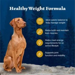 Blue Buffalo Wilderness Healthy Weight Adult High Protein Natural Chicken & Wholesome Grains Dry Dog Food -Blue Buffalos Shop 748262 PT3. AC SS1800 V1694548887