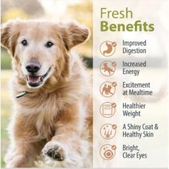 JustFoodForDogs Pantry Fresh Beef & Chicken Variety Pack Fresh Dog Food, 12.5-oz Pouch, Case Of 6 16 JustFoodForDogs Pantry Fresh Beef & Chicken Variety Pack Fresh Dog Food, 12.5-oz Pouch, Case Of 6 -Blue Buffalos Shop 749806 PT5. AC SS1800 V1674768977
