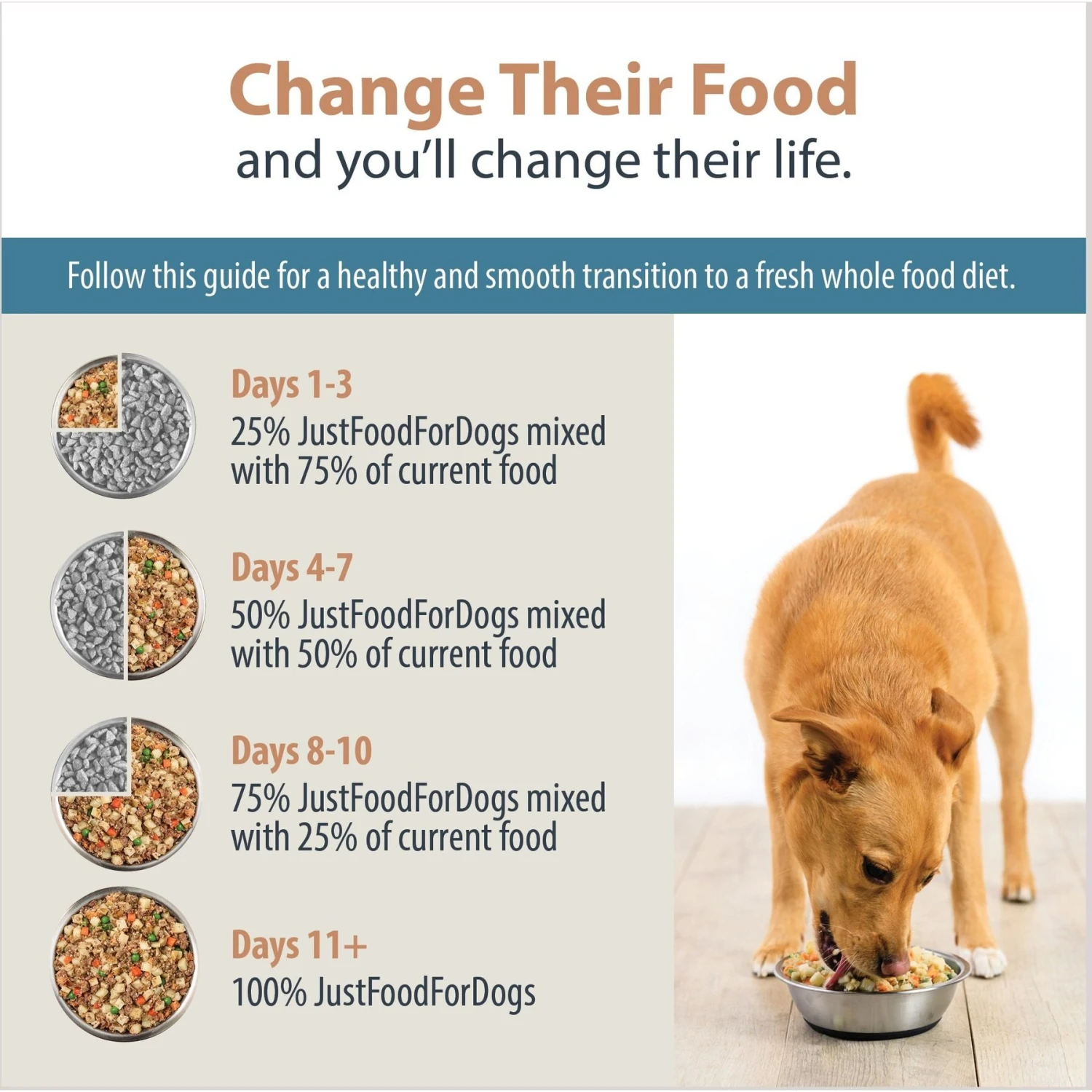 JustFoodForDogs Pantry Fresh Beef & Chicken Variety Pack Fresh Dog Food, 12.5-oz Pouch, Case Of 6 11 JustFoodForDogs Pantry Fresh Beef & Chicken Variety Pack Fresh Dog Food, 12.5-oz Pouch, Case Of 6 - Image 9