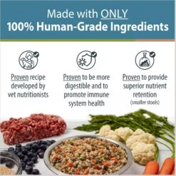 JustFoodForDogs Pantry Fresh Lamb & Brown Rice Fresh Dog Food -Blue Buffalos Shop 749886 PT1. AC SS1800 V1696533257