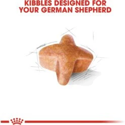 Royal Canin Breed Health Nutrition German Shepherd Adult Dry Dog Food 14 Royal Canin Breed Health Nutrition German Shepherd Adult Dry Dog Food -Blue Buffalos Shop 75164 PT3. AC SS1800 V1697213154