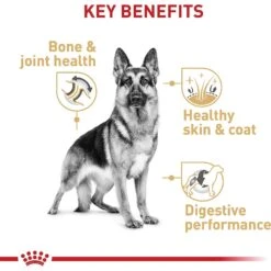 Royal Canin Breed Health Nutrition German Shepherd Adult Dry Dog Food 15 Royal Canin Breed Health Nutrition German Shepherd Adult Dry Dog Food -Blue Buffalos Shop 75164 PT4. AC SS1800 V1697212367