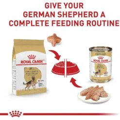 Royal Canin Breed Health Nutrition German Shepherd Adult Dry Dog Food 16 Royal Canin Breed Health Nutrition German Shepherd Adult Dry Dog Food -Blue Buffalos Shop 75164 PT5. AC SS1800 V1697213803