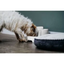 Cat Mate Plastic Dog & Cat Fountain, 67.6-oz -Blue Buffalos Shop 75264 PT6. AC SS1800 V1663713387