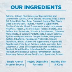 Wellness Simple Limited Ingredient Diet Grain-Free Small Breed Salmon & Potato Formula Dry Dog Food -Blue Buffalos Shop 75324 PT7. AC SS1800 V1611092710