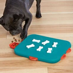 Nina Ottosson By Outward Hound Casino Puzzle Game Dog Toy 16 Nina Ottosson By Outward Hound Casino Puzzle Game Dog Toy -Blue Buffalos Shop 75370 PT5. AC SS1800 V1694286656
