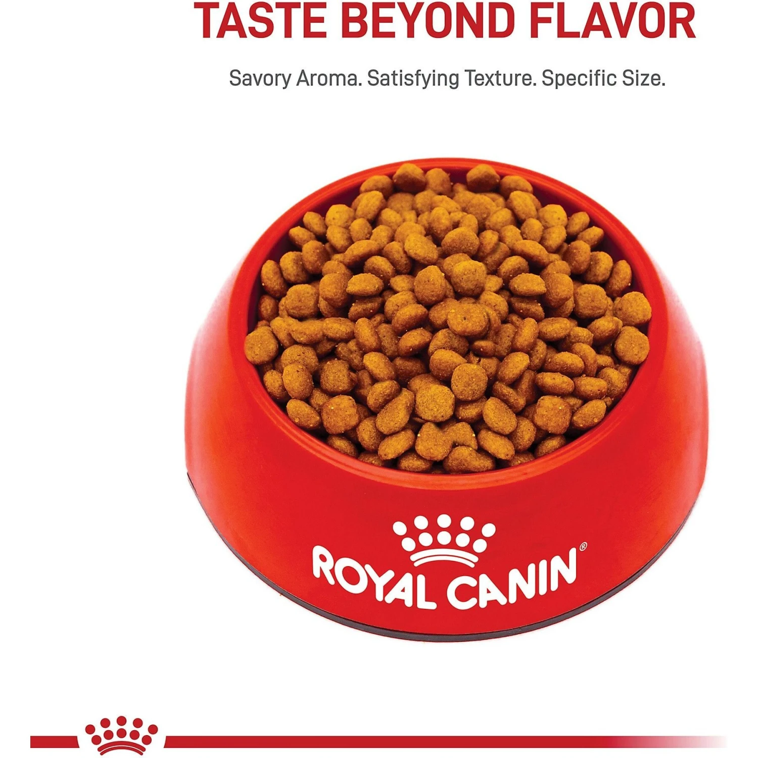 Royal Canin Breed Health Nutrition Miniature Schnauzer Puppy Dry Dog Food 4 Royal Canin Breed Health Nutrition Miniature Schnauzer Puppy Dry Dog Food - Image 2
