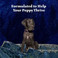 Blue Buffalo Wilderness Turkey & Chicken Grill Grain-Free Puppy Canned Dog Food -Blue Buffalos Shop 75750 PT3. AC SS1800 V1646788894