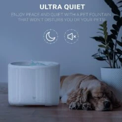 INSTACHEW Purrflow Smart Dog & Cat Water Fountain, White, 2-L 12 INSTACHEW Purrflow Smart Dog & Cat Water Fountain, White, 2-L -Blue Buffalos Shop 757694 PT3. AC SS1800 V1691762367