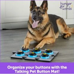 Hunger For Words Talking Pet Button Mat Dog Toy & Hunger For Words Talking Pet Starter Set Dog Toy -Blue Buffalos Shop 757726 PT8. AC SS1800 V1674051110