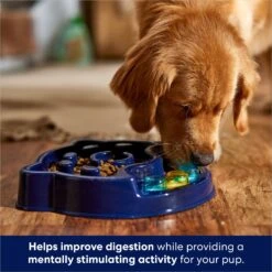 Frisco Interactive Dog Slow Feeder Bowl -Blue Buffalos Shop 761238 PT2. AC SS1800 V1696254583