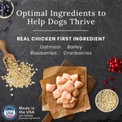 Blue Buffalo Blue Wilderness Premier Blend With Meaty Cuts Chicken Senior Dry Dog Food -Blue Buffalos Shop 761758 PT3. AC SS1800 V1680631025
