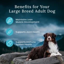 Blue Buffalo Blue Wilderness Premier Blend With Meaty Cuts Chicken Large Breed Adult Dry Dog Food, 24-lb Bag -Blue Buffalos Shop 761774 PT6. AC SS1800 V1680630143