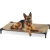 Coolaroo Pro Elevated Dog & Cat Bed