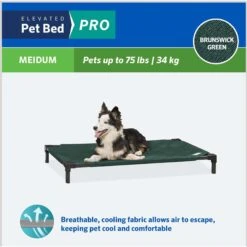 Coolaroo Pro Replacement Cover Elevated Dog & Cat Bed -Blue Buffalos Shop 763022 PT3. AC SS1800 V1674768928