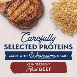 Natural Balance Limited Ingredient Beef & Brown Rice Small Breed Recipe Dry Dog Food 13 Natural Balance Limited Ingredient Beef & Brown Rice Small Breed Recipe Dry Dog Food -Blue Buffalos Shop 765542 PT2. AC SS1800 V1676476029