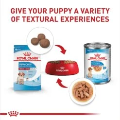 Royal Canin Size Health Nutrition Medium Puppy Thin Slices In Gravy Wet Dog Food, 13-oz, Case Of 12 -Blue Buffalos Shop 766710 PT4. AC SS1800 V1697213092