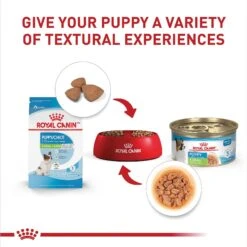 Royal Canin Size Health Nutrition X-Small Puppy Thin Slices In Gravy Wet Dog Food, 3-oz, Case Of 24 -Blue Buffalos Shop 766726 PT5. AC SS1800 V1697212367