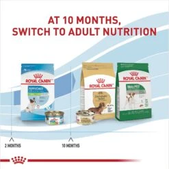 Royal Canin Size Health Nutrition X-Small Puppy Thin Slices In Gravy Wet Dog Food, 3-oz, Case Of 24 -Blue Buffalos Shop 766726 PT6. AC SS1800 V1697213468