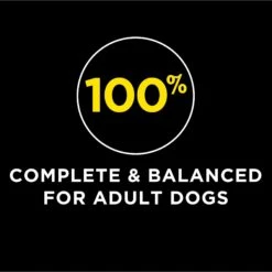 Dog Chow High Protein Recipe With Real Lamb & Beef Flavor Dry Dog Food 13 Dog Chow High Protein Recipe With Real Lamb & Beef Flavor Dry Dog Food -Blue Buffalos Shop 767750 PT2. AC SS1800 V1675367000