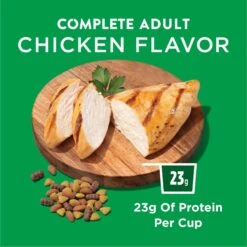 Dog Chow Complete Adult With Real Chicken Dry Dog Food -Blue Buffalos Shop 767758 PT3. AC SS1800 V1700158701