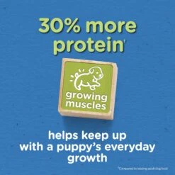 Puppy Chow Tender & Crunchy With Real Beef Dry Dog Food 13 Puppy Chow Tender & Crunchy With Real Beef Dry Dog Food -Blue Buffalos Shop 767774 PT2. AC SS1800 V1675375952