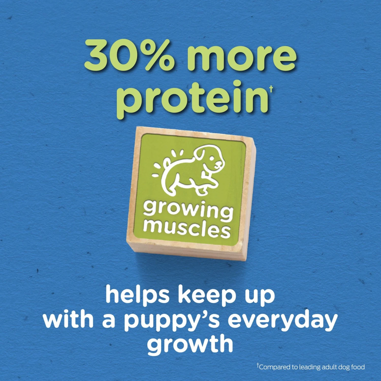 Puppy Chow Tender & Crunchy With Real Beef Dry Dog Food 5 Puppy Chow Tender & Crunchy With Real Beef Dry Dog Food - Image 3