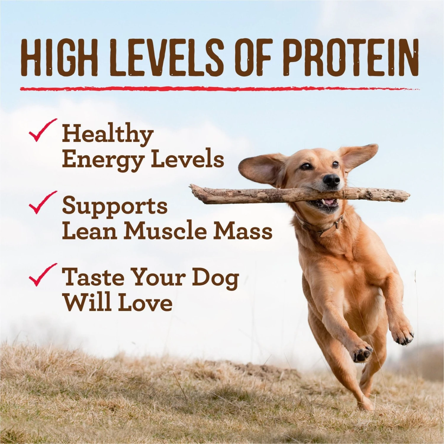 Merrick Chunky Grain-Free Wet Dog Food Carvers Delight Dinner 9 Merrick Chunky Grain-Free Wet Dog Food Carvers Delight Dinner - Image 7