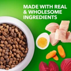 Iams Proactive Health Puppy High Protein DHA Formula With Real Chicken Dry Dog Food -Blue Buffalos Shop 77199 PT3. AC SS1800 V1668024638