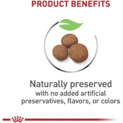 Royal Canin Size Health Nutrition Large Puppy Dry Dog Food -Blue Buffalos Shop 774142 PT3. AC SS1800 V1700156591