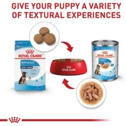 Royal Canin Size Health Nutrition Large Puppy Dry Dog Food -Blue Buffalos Shop 774142 PT5. AC SS1800 V1700158615