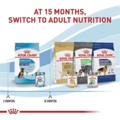 Royal Canin Size Health Nutrition Large Puppy Dry Dog Food -Blue Buffalos Shop 774142 PT6. AC SS1800 V1700156757