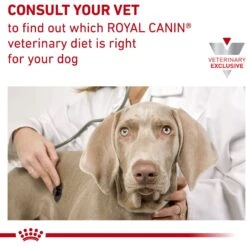 Royal Canin Veterinary Diet Adult Satiety Support Weight Management Loaf In Sauce Canned Dog Food -Blue Buffalos Shop 77545 PT7. AC SS1800 V1676556671