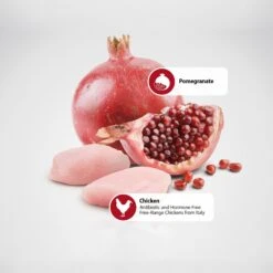 Farmina Natural & Delicious Chicken Grain-Free Mini Breed Formula Dry Dog Food -Blue Buffalos Shop 77813 PT4. AC SS1800 V1532637753